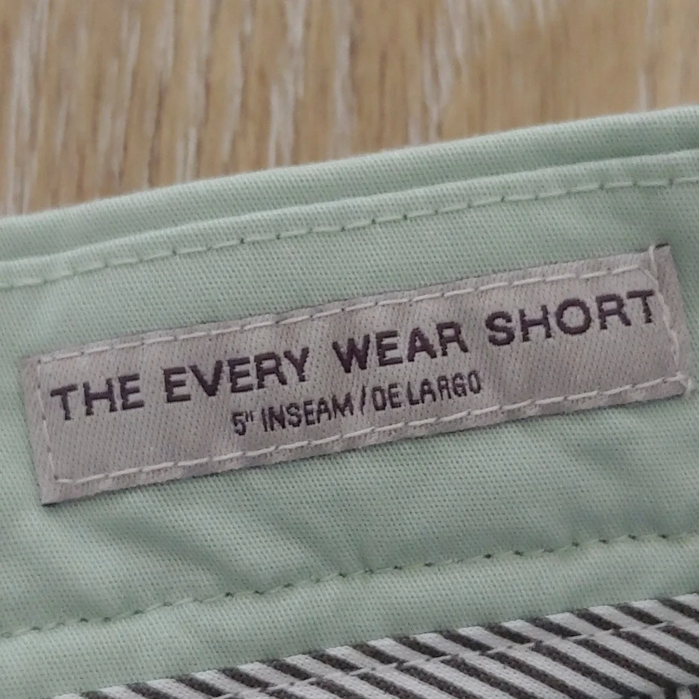 NWT Goodfellow & Co Men's Every Wear Flat Front Shorts Mint Green Size 34